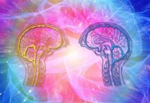 Cum îți poți antrena creierul prin Neurofeedback